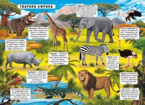 Книжка з віконцями "Відкрий і дізнайся. Тварини планети Земля", укр 149244 фото