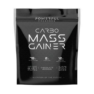 Carbo Mass Gainer - 2000g Chocolate 8898 фото