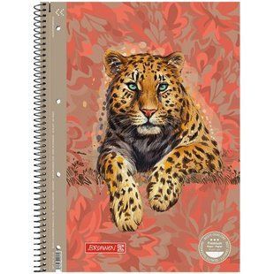 Коледж-блок А4 Premium, лінія, 80 арк. Safari 271217 фото