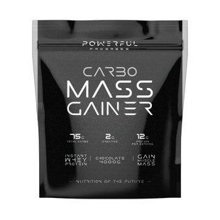 Carbo Mass Gainer - 4000g Chocolate 8908 фото