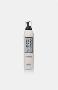 Jalyd Foam Fix Фіксуючий мікс, 300мл 8033109849647 фото