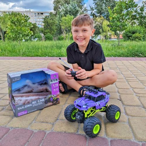 Машинка на радіокеруванні BIGFOOT OFF-ROAD &ndash; VIOLET (1:16, 27 МГц (MHz)) 248489 фото
