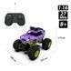 Машинка на радіокеруванні BIGFOOT OFF-ROAD &ndash; VIOLET (1:16, 27 МГц (MHz)) 248489 фото 3
