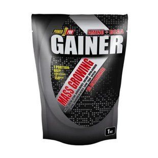 Gainer - 1000g Wild Berry 31326 фото