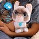 Інтерактивна іграшка FurReal серії "Wag-A-Lots" &ndash; Кошеня 245536 фото 2